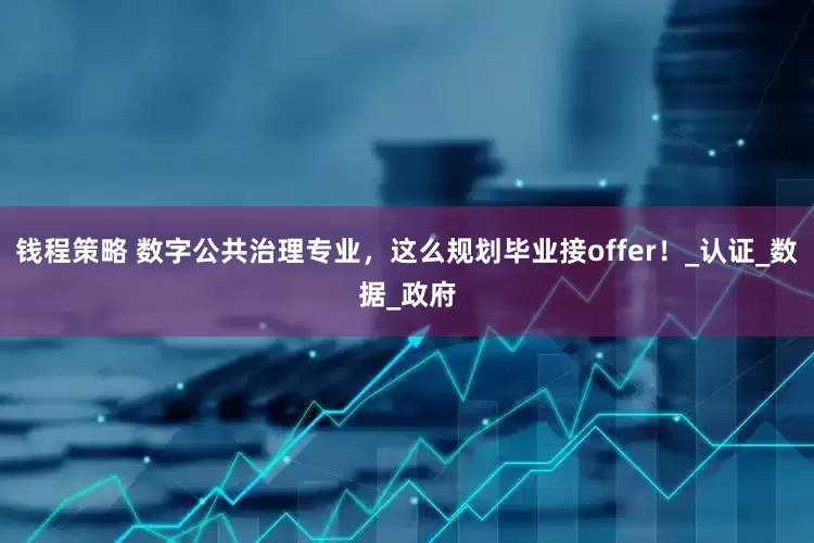 钱程策略 数字公共治理专业，这么规划毕业接offer！_认证_数据_政府